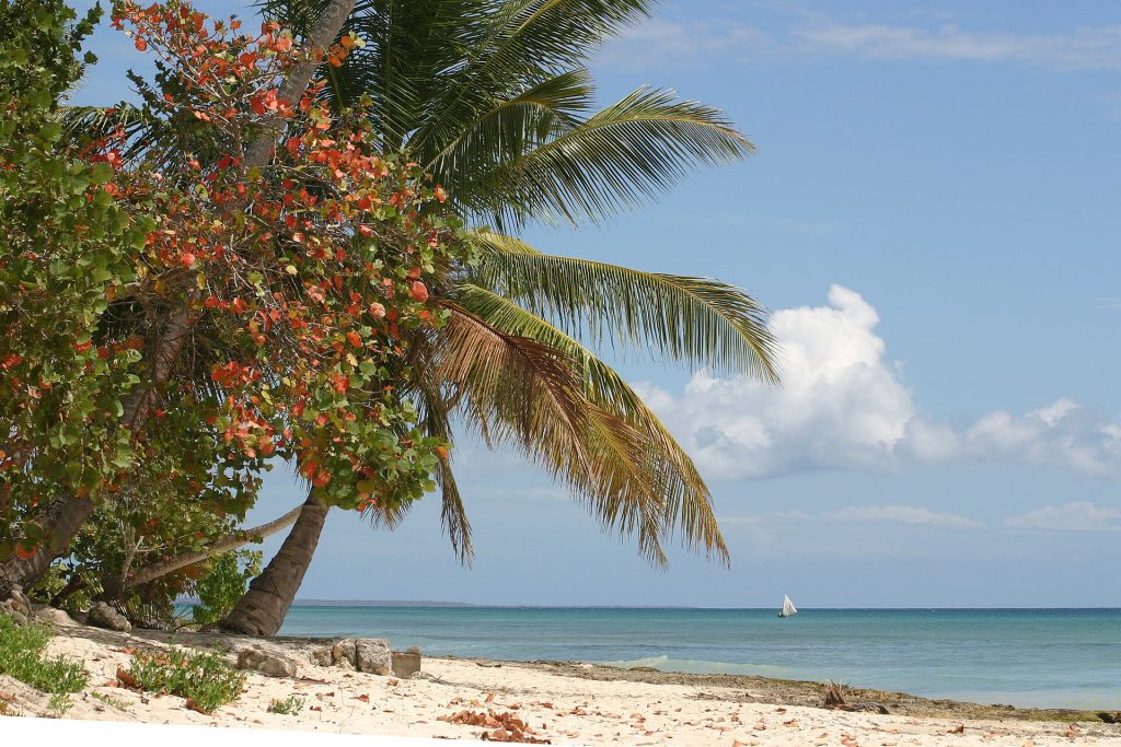 Lugar parque nacional del este