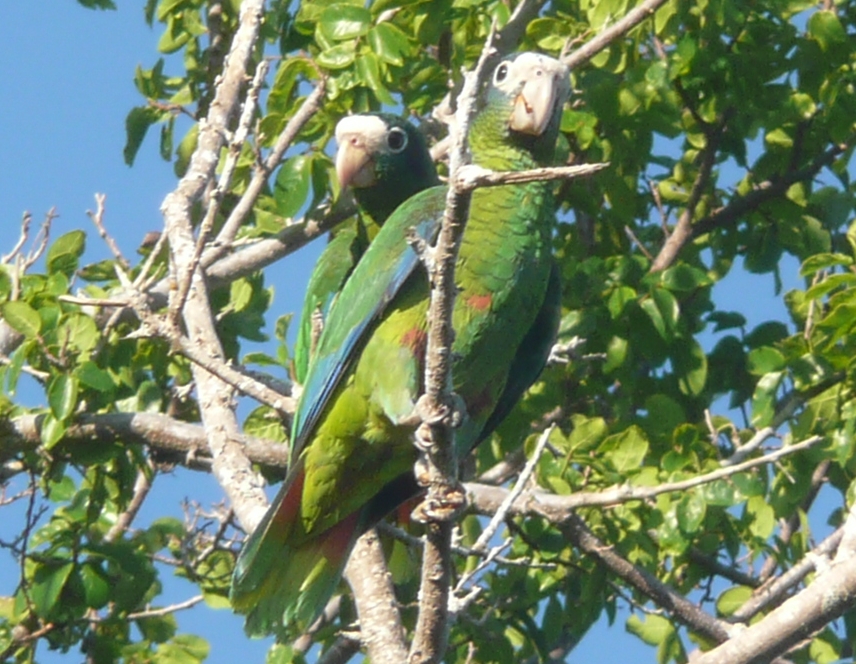 Lugar parque nacional jaragua