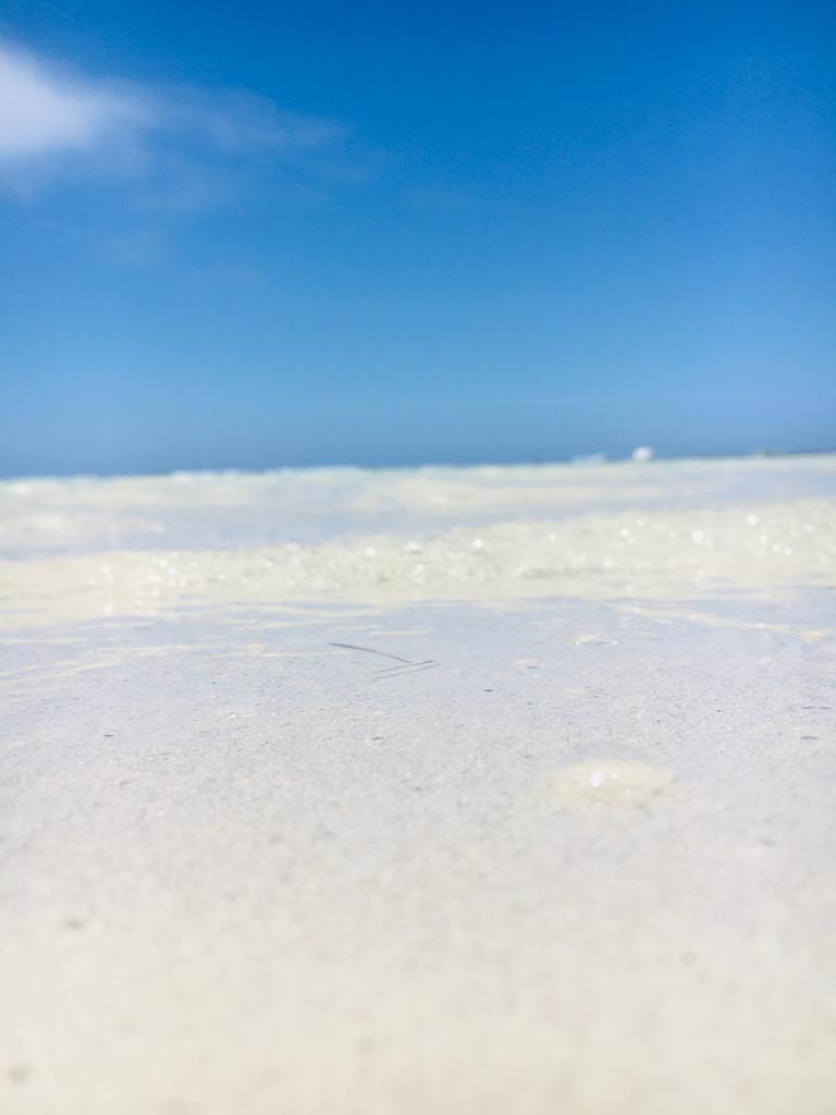 Lugar playa boca chica